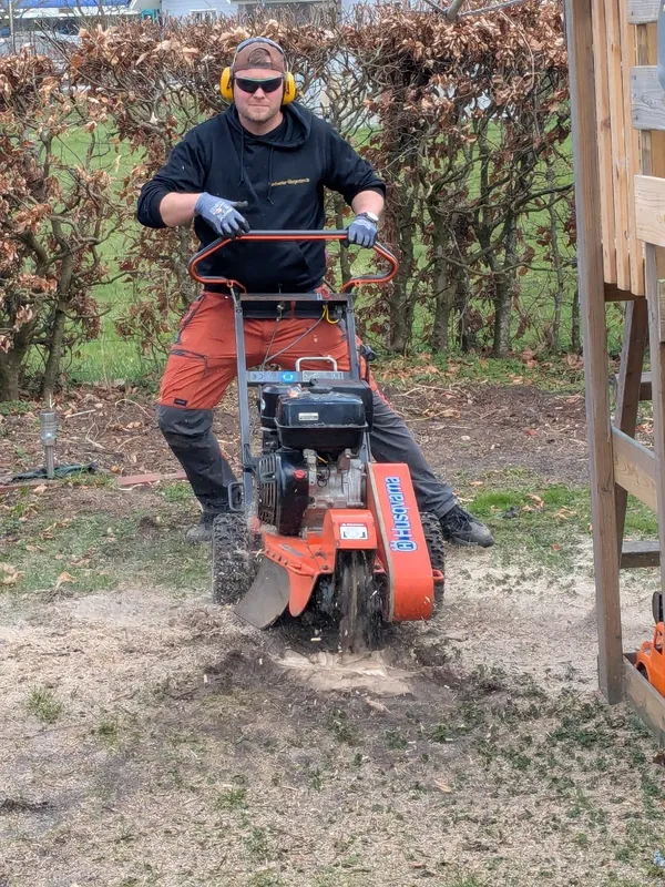 Baumstumpf fräsen mit einer Husqvarna Stubbenfräse